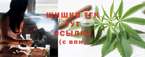 МДПВ Козельск