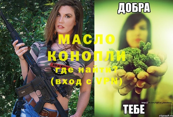 трава Корсаков