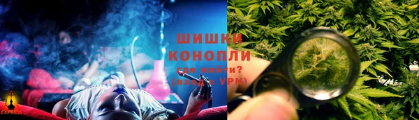 трава Корсаков