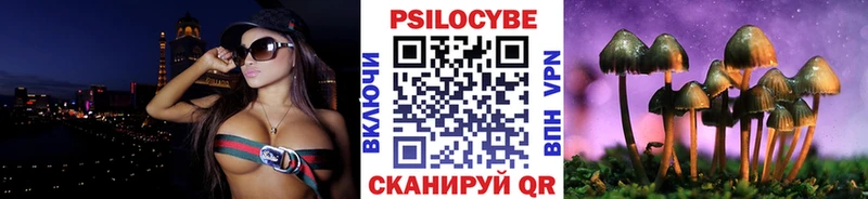 Псилоцибиновые грибы Cubensis  мега рабочий сайт  Кириши 